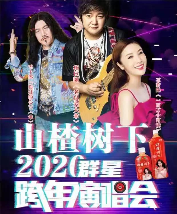2020杨臣刚王若熙雪十郎黄石演唱会