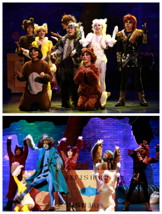 音乐剧《寻梦的猫》重庆站