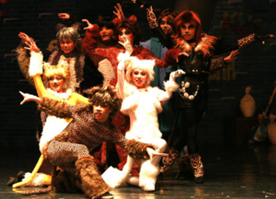 音乐剧《寻梦的猫》重庆站