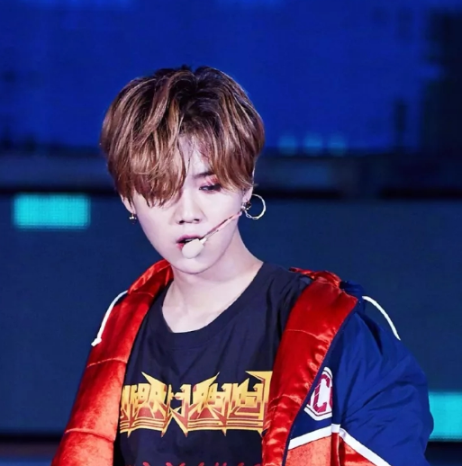 鹿晗上海演唱会