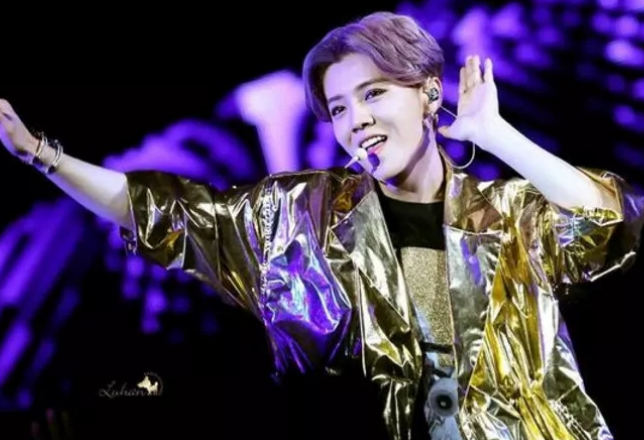 鹿晗上海演唱会