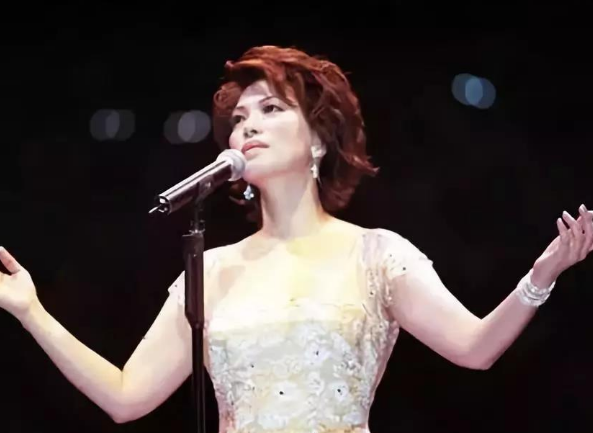 蔡琴海口演唱会