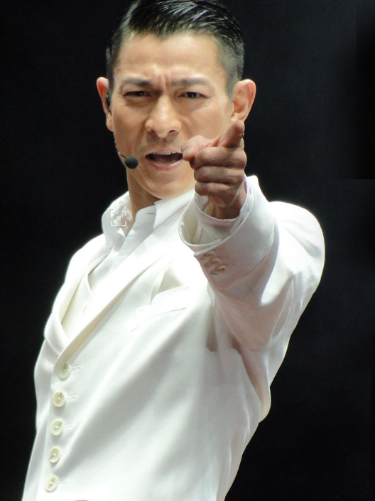 刘德华湖州演唱会