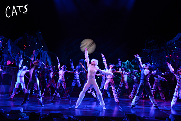 2022世界经典原版音乐剧《猫》CATS-石家庄站