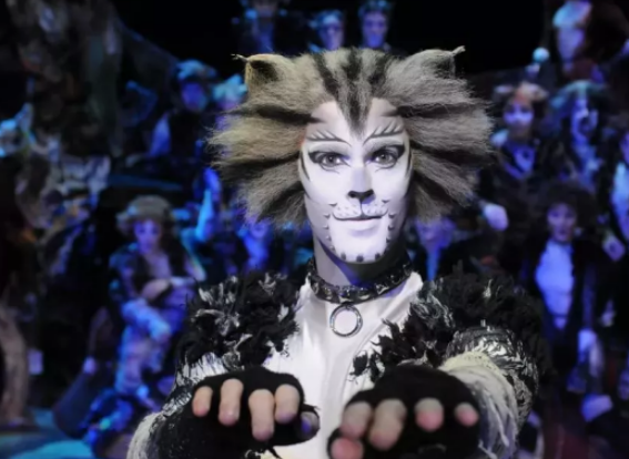 音乐剧《猫》CATS石家庄站