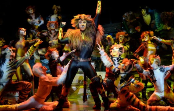 音乐剧《猫》CATS石家庄站