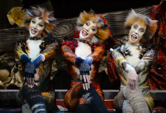 音乐剧《猫》CATS石家庄站