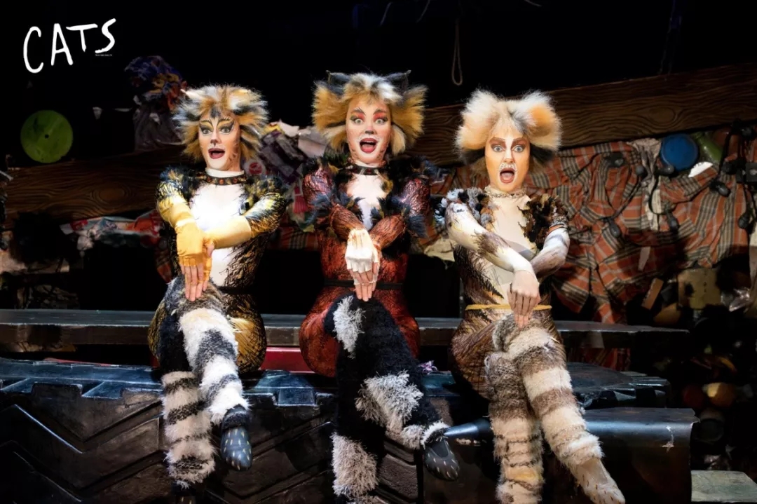 2022世界经典原版音乐剧《猫》CATS-石家庄站