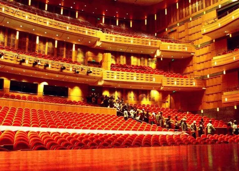 牟楠张梦上海音乐会