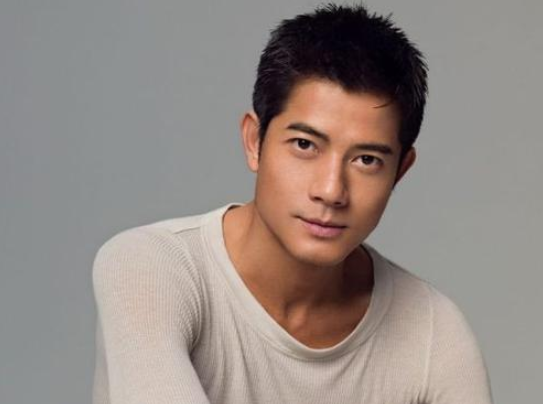 郭富城郑州演唱会