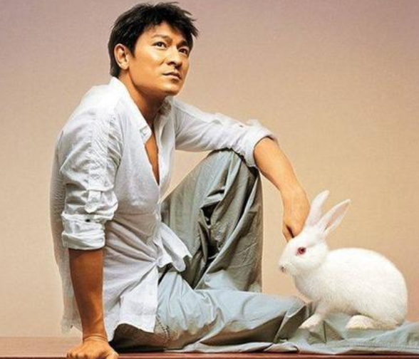 刘德华湖州演唱会