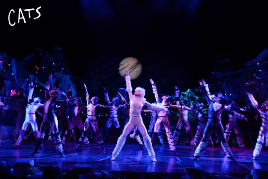 2020原版音乐剧《猫》天津站