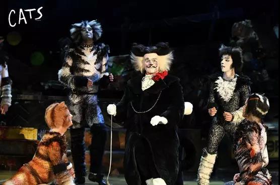 2020原版音乐剧《猫》天津站