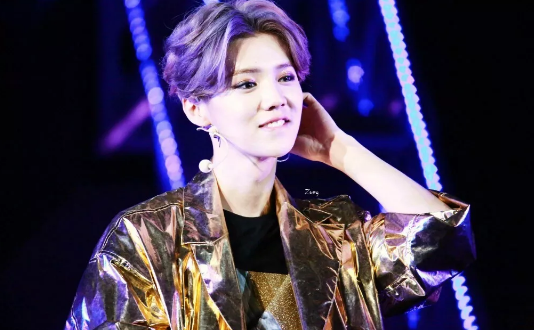 鹿晗郑州演唱会