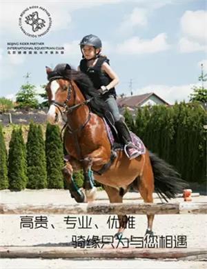 2020北京骑缘马术体验课