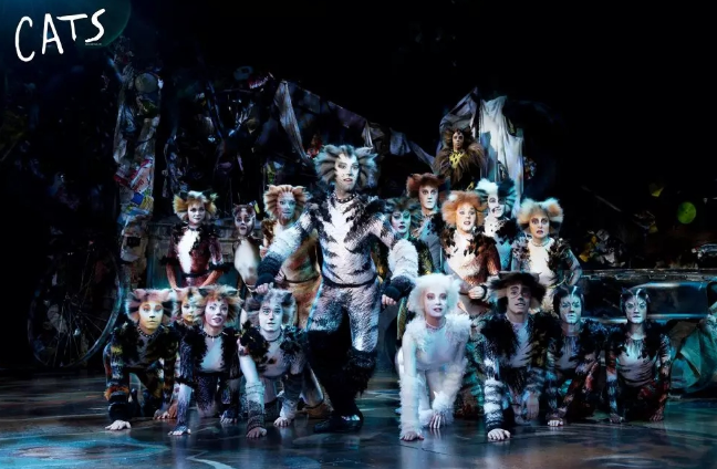 2022音乐剧《猫CATS》杭州站(时间+地点+订票攻略) 2022音乐剧《猫CATS》杭州站(时间+地点+订票攻略)