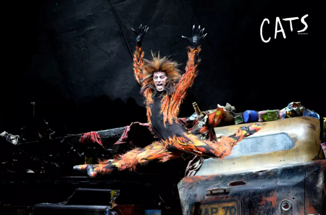 2022音乐剧《猫CATS》杭州站(时间+地点+订票攻略) 2022音乐剧《猫CATS》杭州站(时间+地点+订票攻略)