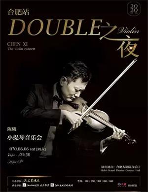 2020陈曦合肥音乐会