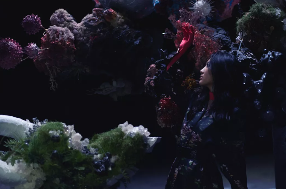 2023陈粒长沙演唱会（时间+场馆+门票+购票网址）