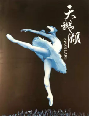 芭蕾舞剧天鹅湖天津站