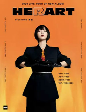 2025洪辰武汉演唱会