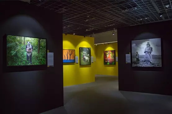 2021国家地理经典影像大展-北京站 2021国家地理经典影像大展-北京站