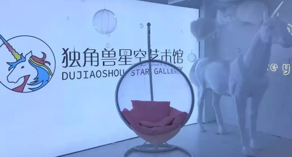 南京独角兽星空艺术馆