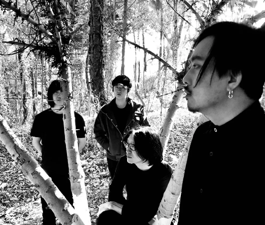 法兹乐队济南演唱会