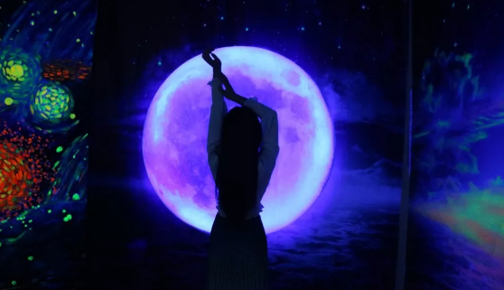 武汉梵高星空艺术馆