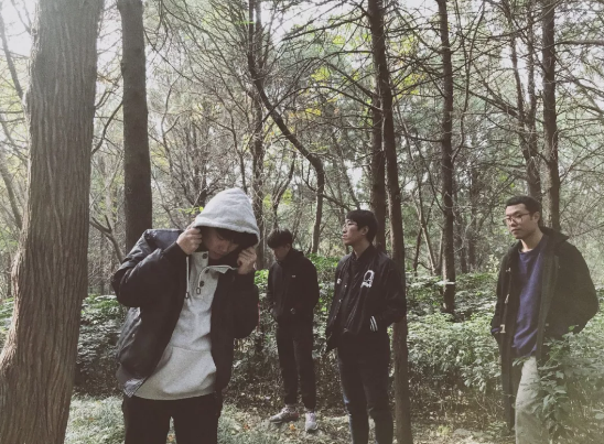 动物园钉子户杭州演唱会