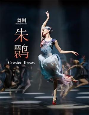 舞剧朱鹮南昌站