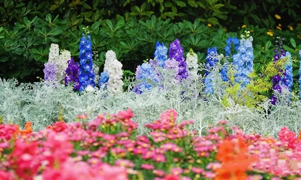 2021峨眉山音乐节时间地点、演出详情、在线订票