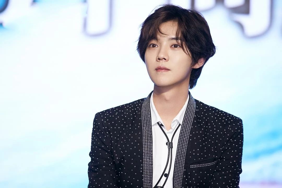 2020鹿晗郑州演唱会