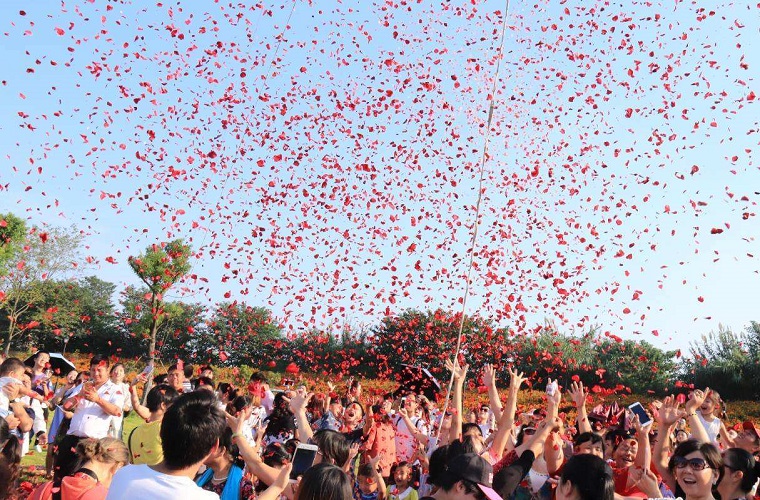 2020合肥花世界心跳音乐节演出详情、购票地址、时间、地点