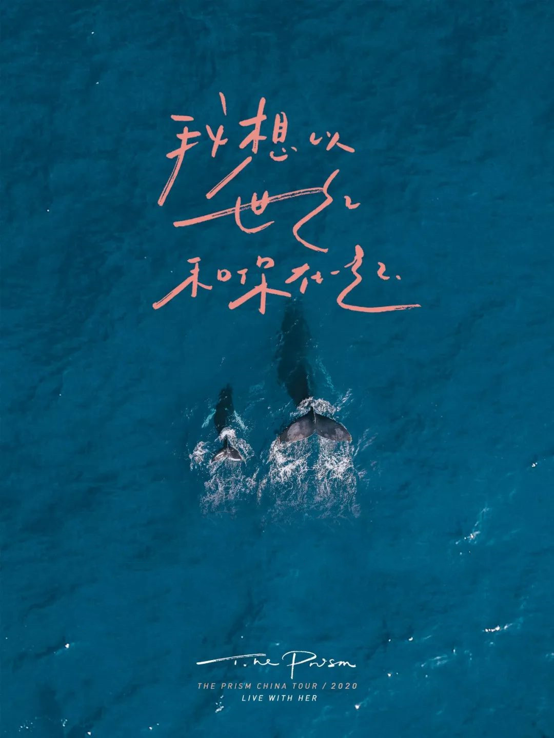 延期至8月份的演唱会都有哪些？在哪购票？