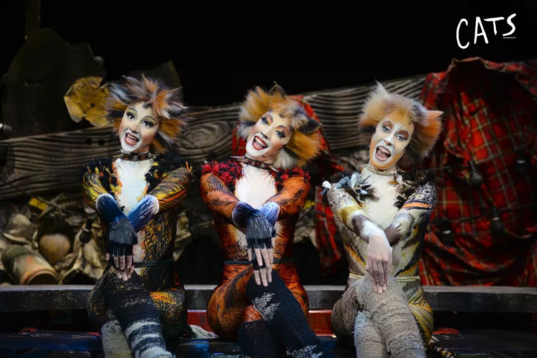2020音乐剧《猫》CATS西安站(时间+地点+门票)订票指南