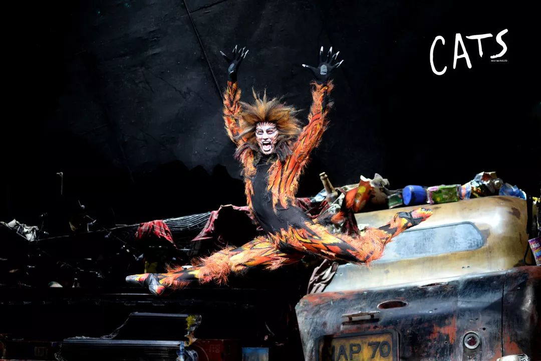 2020音乐剧《猫》CATS西安站(时间+地点+门票)订票指南
