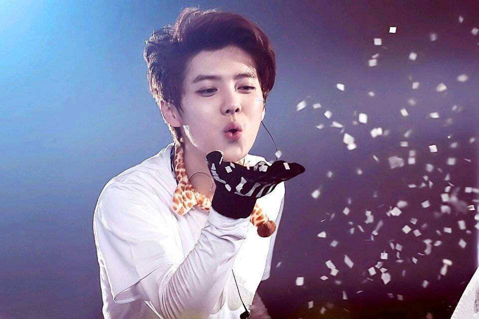 2020鹿晗郑州演唱会门票价格多少？在哪买票？