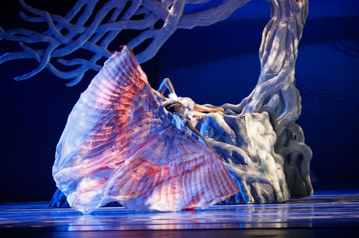 2020舞剧《朱鹮》南昌站(时间+场馆+票价)一览