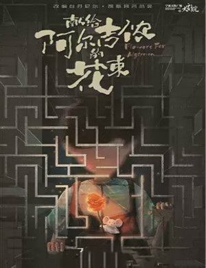 2020音乐剧《献给阿尔吉侬的花束》宁波站