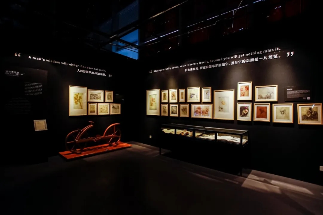 致敬达芬奇全球光影艺术展