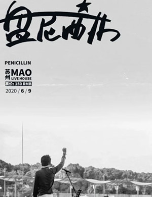 盘尼西林乐队苏州演唱会