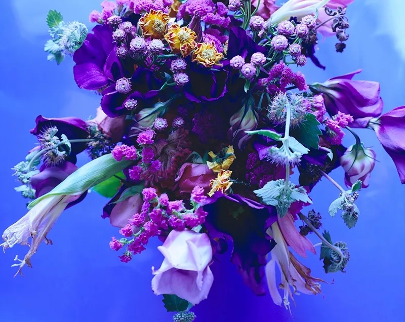 长沙荒木经惟摄影作品展