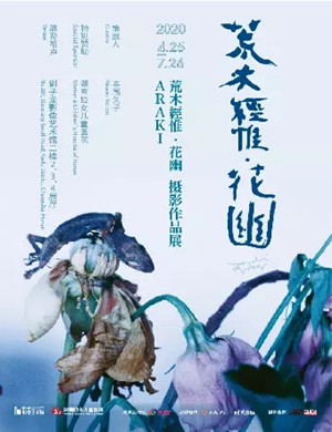长沙荒木经惟摄影作品展