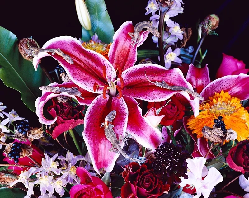 长沙荒木经惟摄影作品展