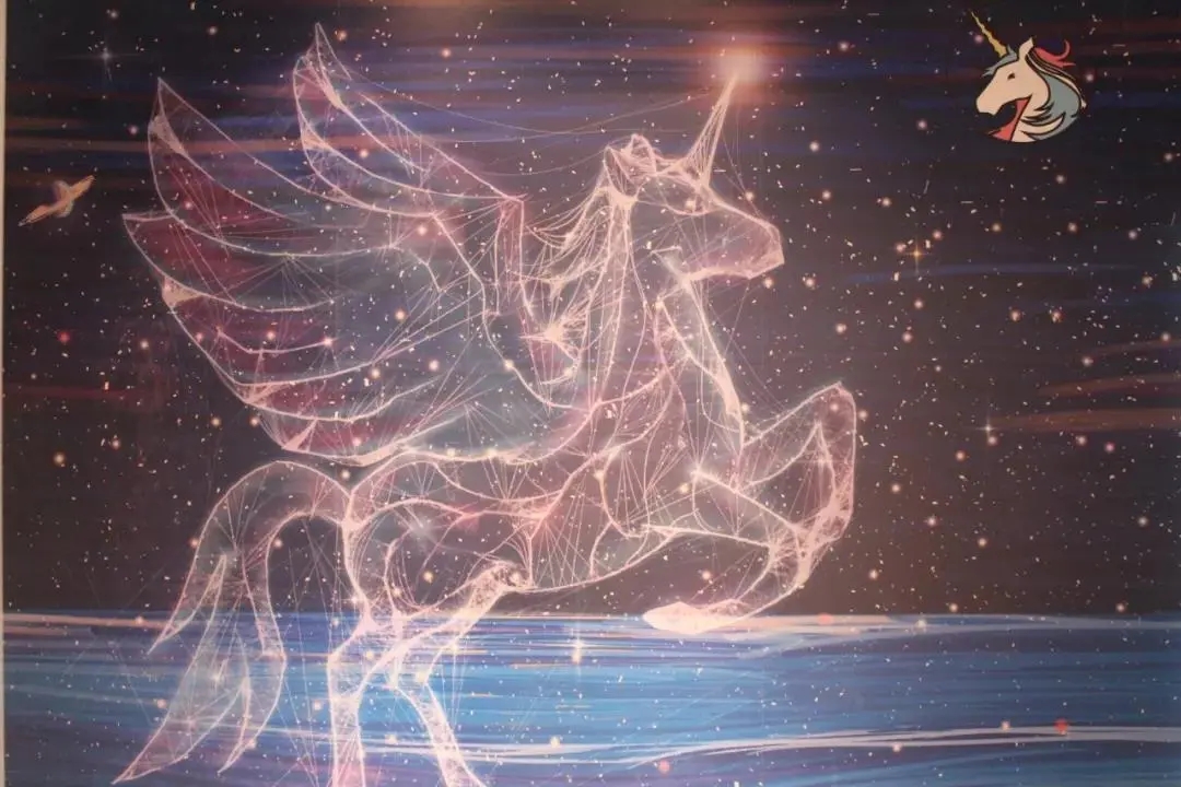 2020北京独角兽星空艺术馆 2020北京独角兽星空艺术馆