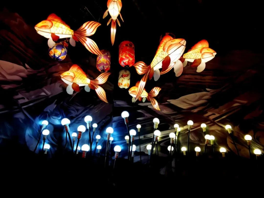 哈尔滨锦鲤星空艺术展