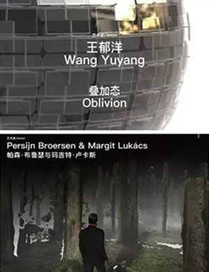 2020成都王郁洋帕森与玛吉特展览