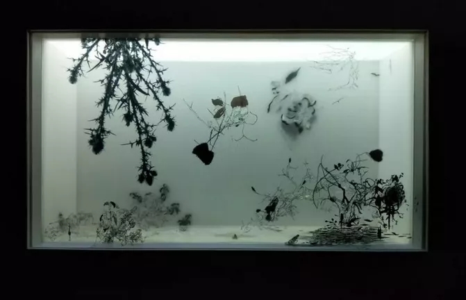 成都王郁洋帕森与玛吉特展览