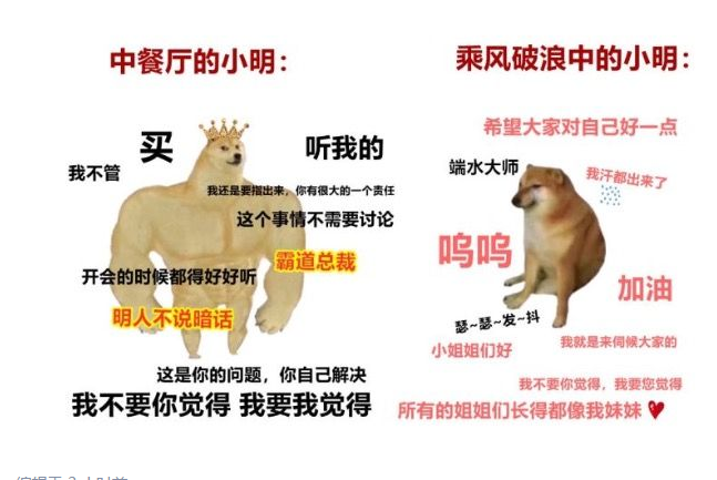 没有热搜的周五要热爆了！乘风破浪的姐姐开播了！